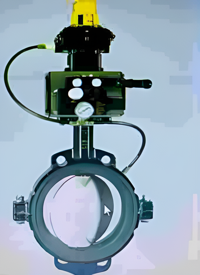 Butterfly Valve